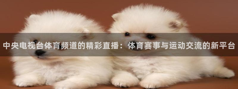 咪咕体育赛事直播：中央电视台体育频道的精彩直播：体育赛事与运动交流的新平台