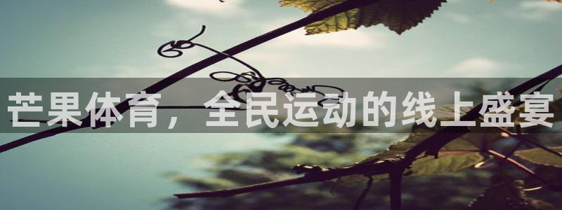 咪咕视频体育直播app下载：芒果体育，全民运动的线上盛宴