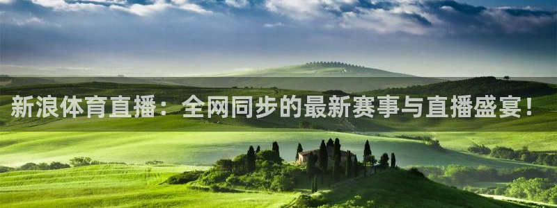 免费看咪咕直播：新浪体育直播：全网同步的最新赛事与直播盛宴！