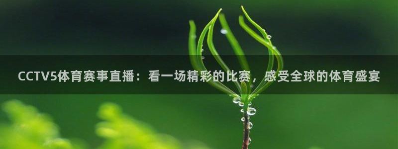 咪咕视频体育直播在线观看：CCTV5体育赛事直播：看一场精彩的比赛，感受全球的体育盛宴