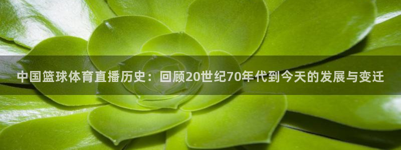体育直播咪咕：中国篮球体育直播历史：回顾20世纪70年代到今天的发展与变迁