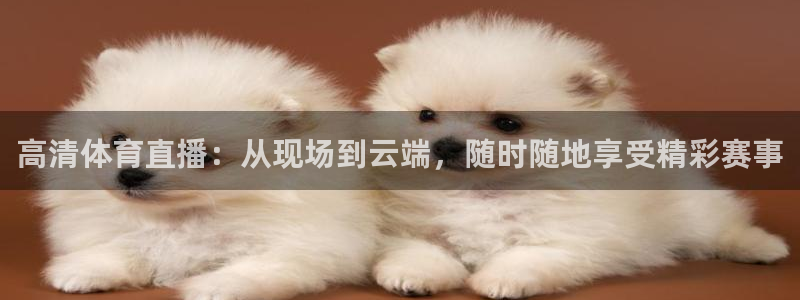 咪咕体育直播在线：高清体育直播：从现场到云端，随时随地享受精彩赛事