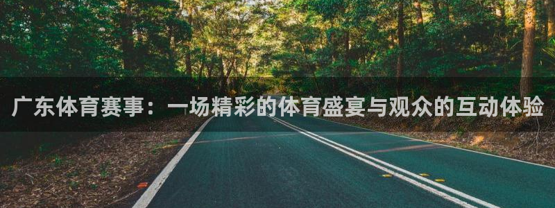 咪咕篮球赛现场直播：广东体育赛事：一场精彩的体育盛宴与观众的互动体验